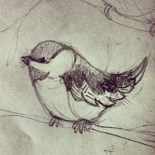 Trying to decide on a bird. It's between this one...