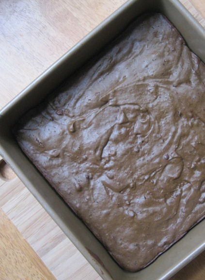 Perfectly Normal (Spinach) Brownies