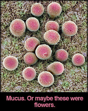 healthy-mucus
