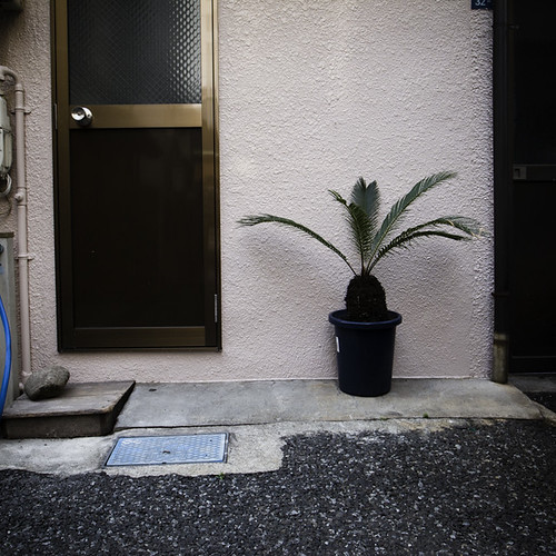 Single Palm and Door, Asakusa