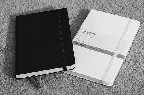A Tale of Two Moleskines