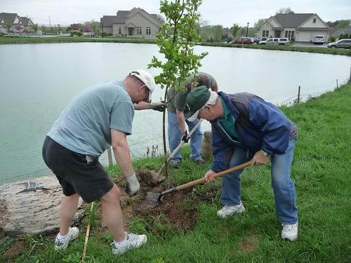 planting trees along Briar Lake through the Alliance TreeVitalize Program