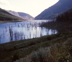 Montana - 1980