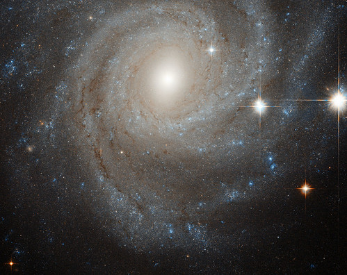 Galaxy in a spin