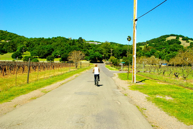 biking in wine country sonoma, california