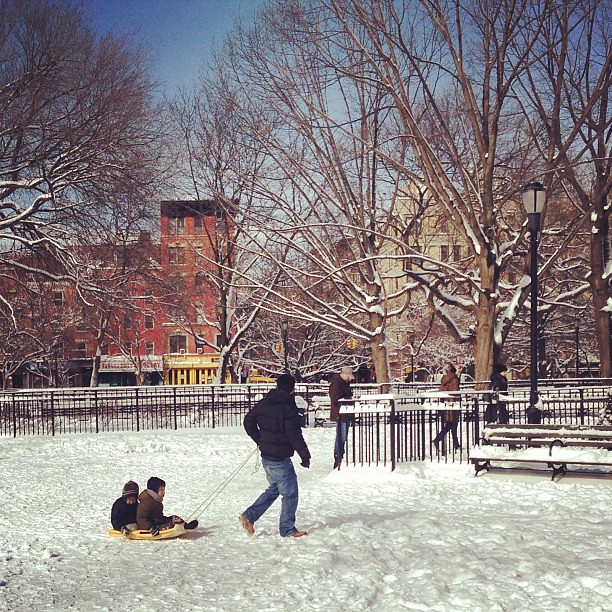 Dad taking kids sledding in Tompkins Square Park Nemo