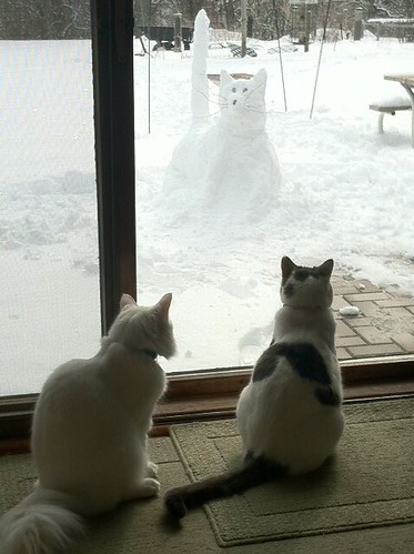 A Snowcat for Nigel and Mimsey Frost
