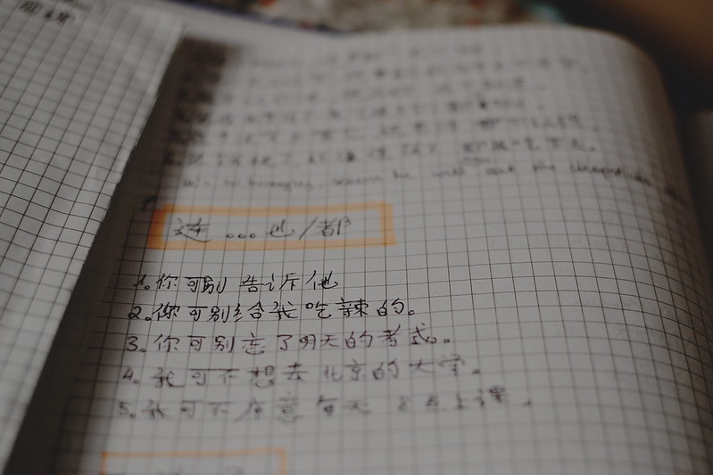 my chinese exercises