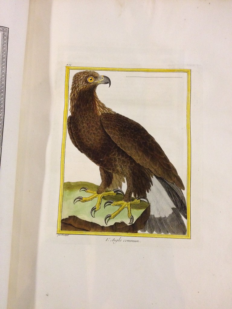 1771 histoire naturelle des oiseaux