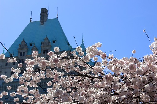 Hotel Vancouver and Cherry Blossoms