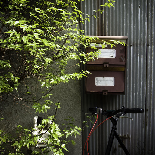 Double Mailbox with Shrubbery and Bicycle