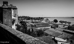 Les bords de la Gironde