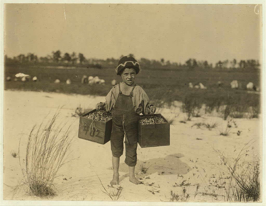 Salvin Nocito, 5 years old, carries 2 pecks of cranberries for long distance to the "bushel-man." Whites Bog, Browns Mills, N.J. Sept. 28, 1910. Witness E. F. Brown. Location: Browns Mills, New Jersey