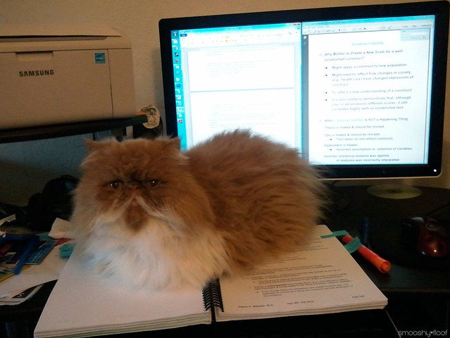 Nope, you're done studying.