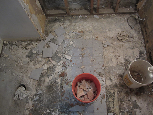 Bathroom Demolition