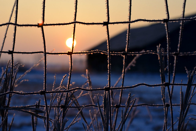 Frosty Sutliff Fence