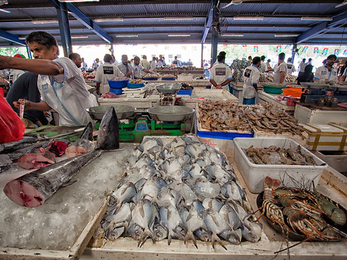 Dubai Fish Market #06