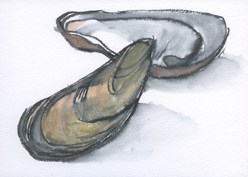 mussels by Bricoleur's Daughter