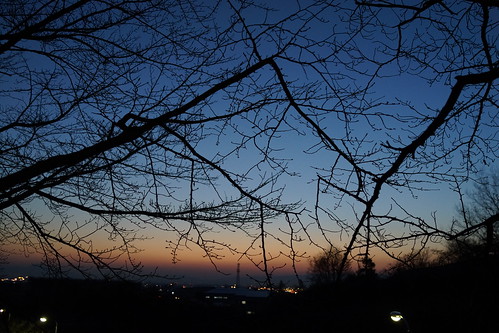 Twilight at Nara.