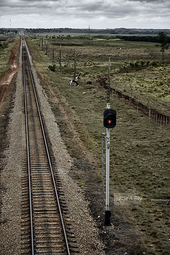 The lone gone rail...Matanzas, Cuba by Rey Cuba