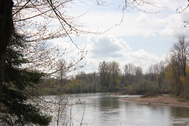Spring along the river