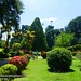 Royal Botanical Gardens, Pedadeniya, Sri Lanka
