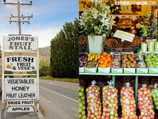 Jones's Fruit Stand | Day 7 New Zealand Sweet as South Contiki Tour | A Guide to South Island