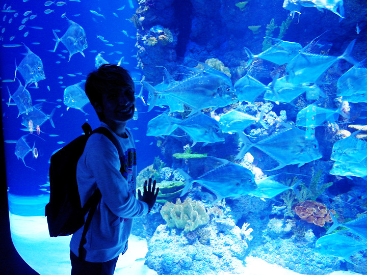 typicalben with fishes S.E.A. Aquarium world’s largest aquarium