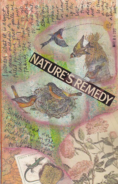 natures-remedy
