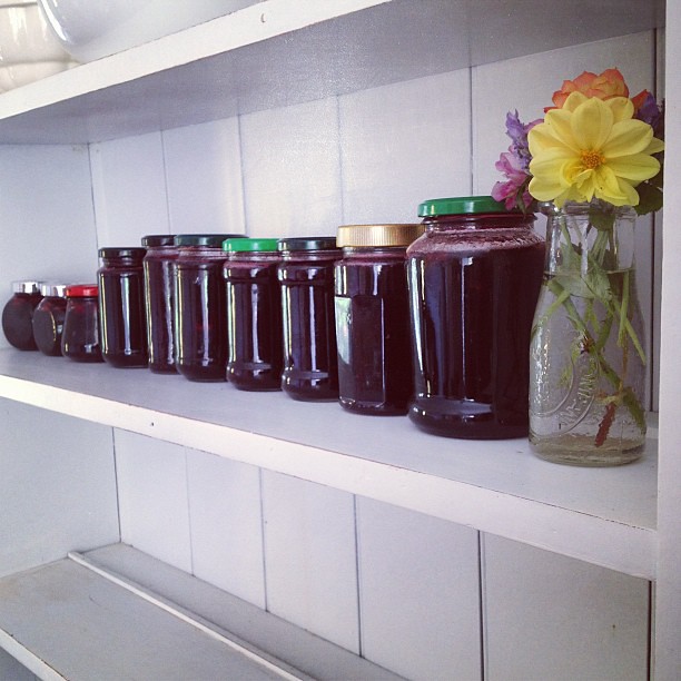 And then there was jam. Lots of jam. Thanks for your help! @_chrane_ #rosellas #homemade