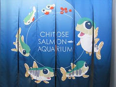 Chitose Salmon Aquarium