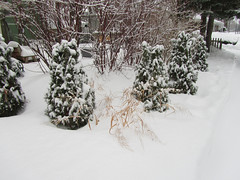 Feb 2011 (Blizzard)