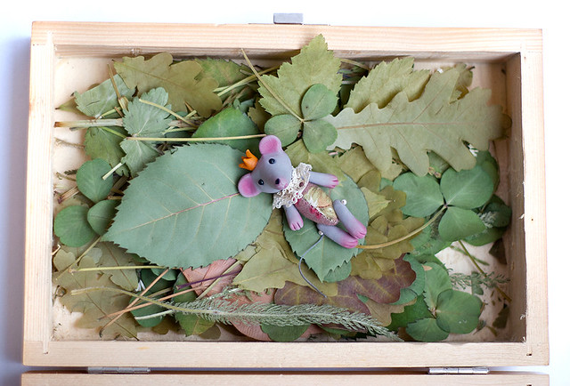 mouse on herbarium