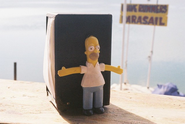 Homers Vacation