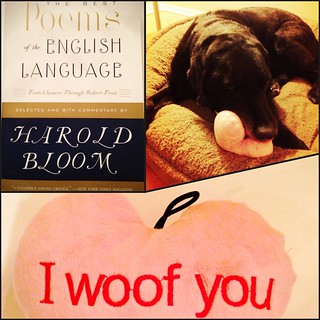 Carlos, Poetry curated by Harold Bloom, and heart-shaped squeaky toys!