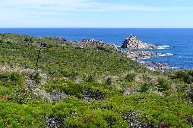 The beach along the Capr To Cape Track from Dunsborough to Yallingup. The rock in the far left is called Sugarloaf Rock, as it resembles a lump of sugar.