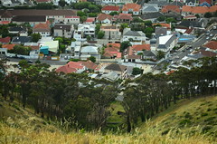 cape town - signal hill