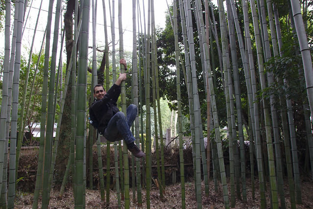 0809 - Arashiyama bosque bambú