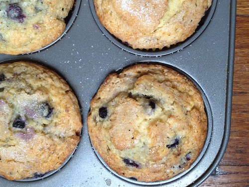 Malted Milk and Maple Blueberry Muffins