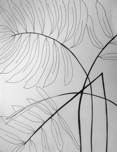 Tropical Plant (Pen and Ink) by randubnick