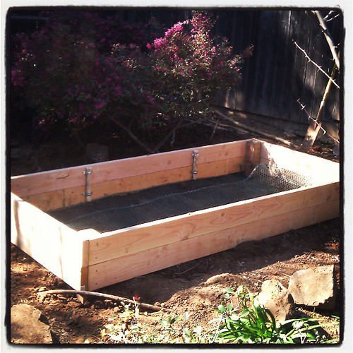 My love made me a raised bed!