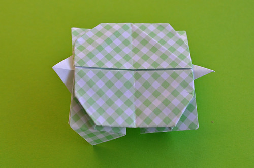 106 - Turtle Envelope