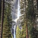 Sentinel Falls, Yosemite National Park