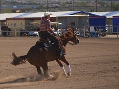 58th Annual Scottsdale Arabian Horse Show
