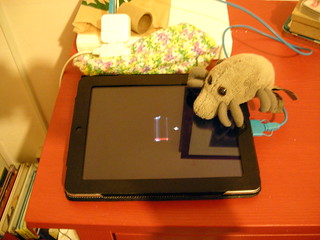 Dust Mite watches Silas's iPad recharge