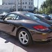 2011 Porsche Cayman PDK Macadamia on Beige in Beverly Hills @porscheconnection 1046