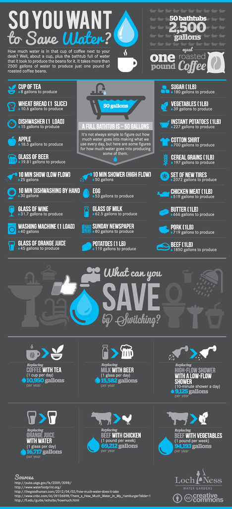 savewater-Infographic