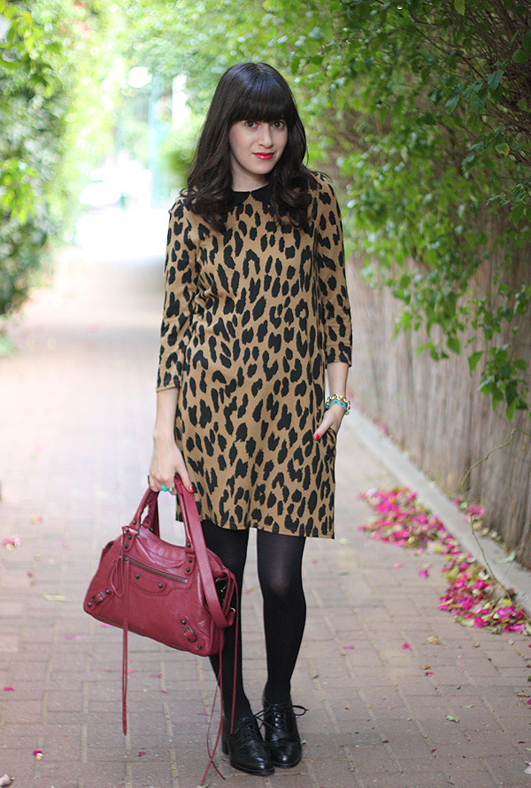 balenciaga bag, leopard dress, שמלה מנומרת, תיק בלנסיאגה, אפונה בלוג אופנה
