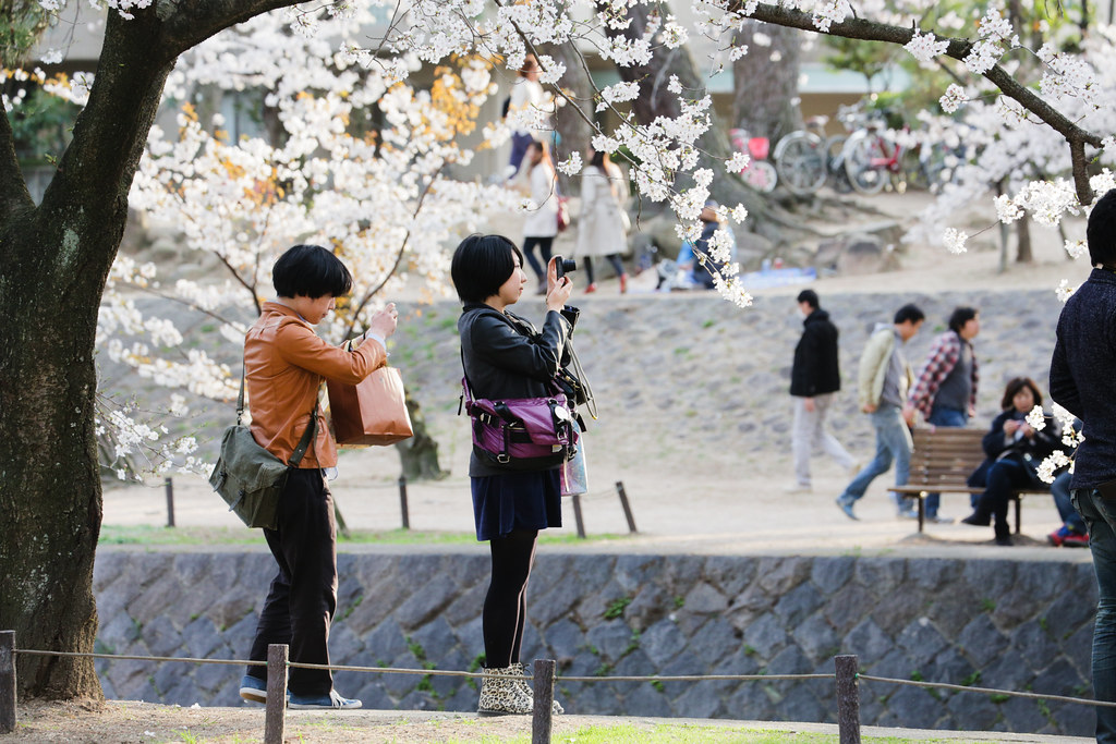 Стильные японцы под цветущей сакурой и сакура над рекой Nishinomiya-shi, Hyogo Prefecture, Japan, 0.004 sec (1/250), f/6.3, 170 mm, EF70-300mm f/4-5.6L IS USM