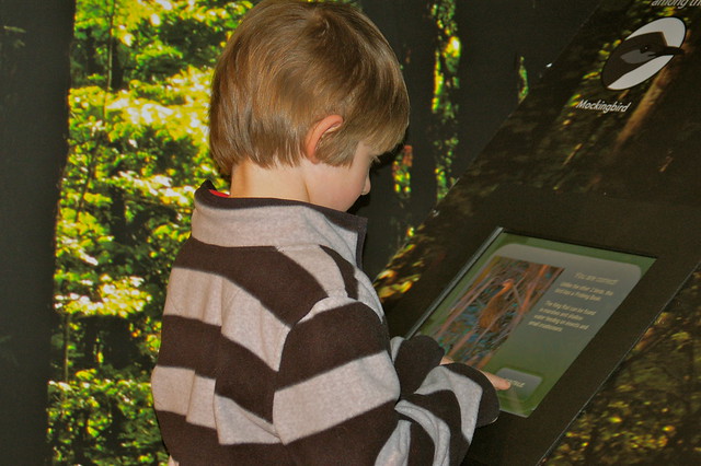A young visitor takes a nature quiz in the Feathered Feeders exhibit
